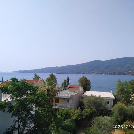 Rigos House At Askeli Beach, Poros Island Villa Poros Town Ngoại thất bức ảnh