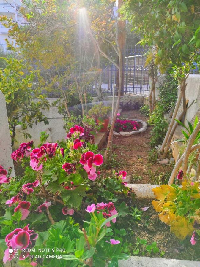 Rigos House At Askeli Beach, Poros Island Villa Poros Town Ngoại thất bức ảnh
