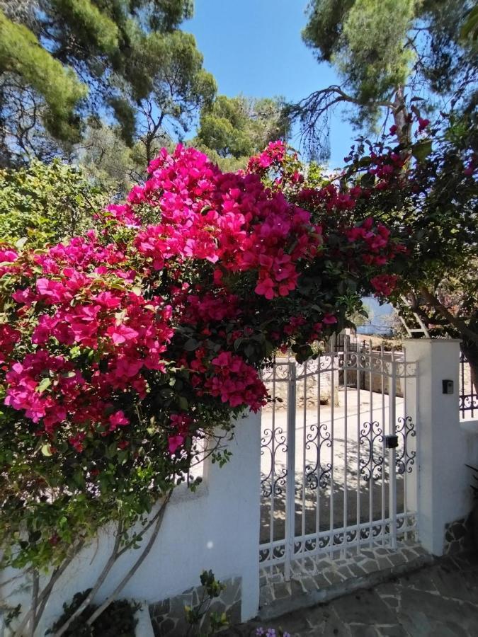 Rigos House At Askeli Beach, Poros Island Villa Poros Town Ngoại thất bức ảnh